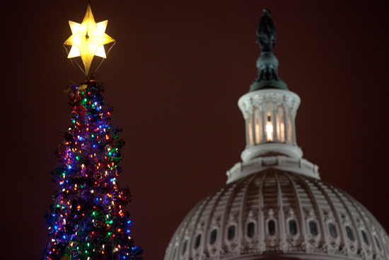 Washington-capitol-Christmas-tree-12-201